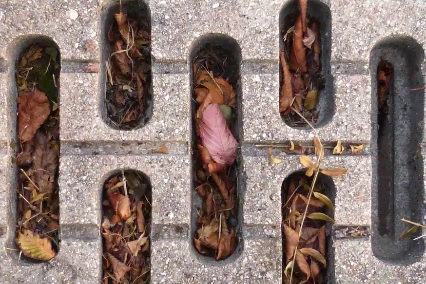 Rejilla de desagüe de hormigón con las ranuras atascadas de hojas secas